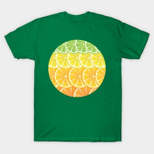 Various Citrus Slices T-Shirt